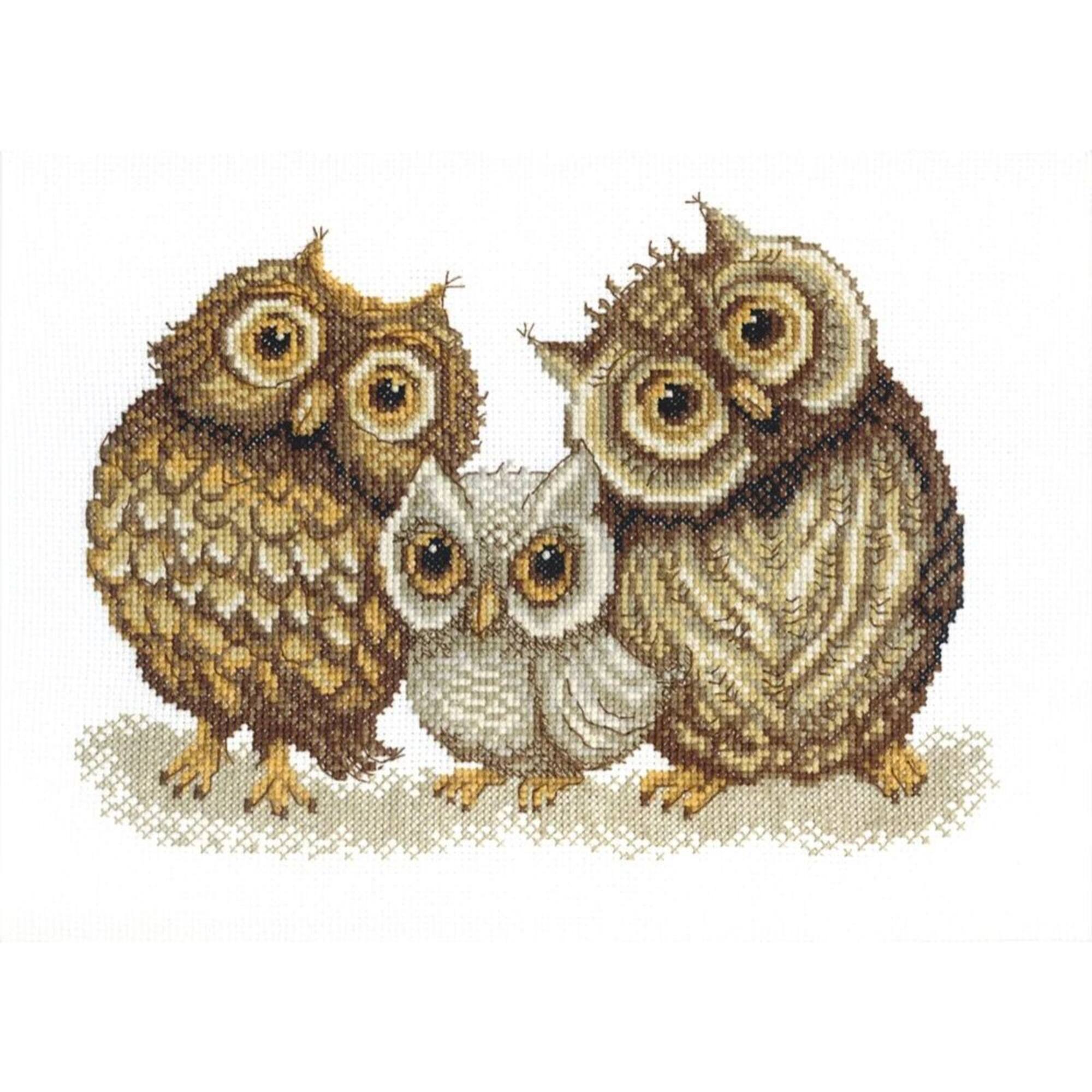Crystal Art Counted Cross Stitch Kit Family Of Owls
